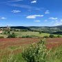 Sous le soleil de Margeride